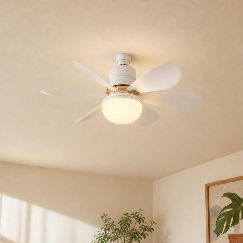 Socket Fan Light with Remote